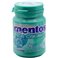 Mentos Gum Ice Crush Wintergreen (Pièce)