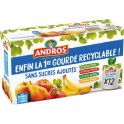 Andros Compote panaché