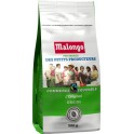 MALONGO Café en grains 500g