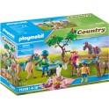 PLAYMOBIL COUNTRY CAVALIERS, CHEVAUX 71239