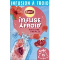 LIPTON FROID HIBISCUS-GRENADE x15 37g