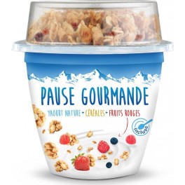 PAUSE GOURMANDE Yaourt et mélanges de céréales aux fruits rouges 225g