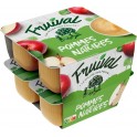 FRUIVAL Compote pomme les 8 pots de 100g