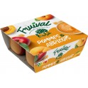 FRUIVAL Compote pomme abricot les 4 pots de 100g