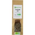 NC Tisane De Gattilier Bio 100g