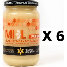 NC Lot 6x Miel De Printemps Monts Du Lyonnais Rhône Alpes Le Rucher De Macameli Pot 500g les 6 unités de 0.5Kg